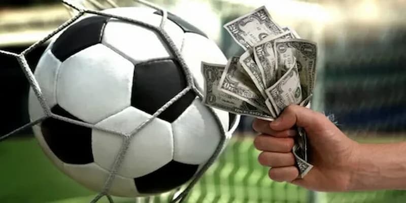 Mẹo tối ưu khi xem livescore bóng đá